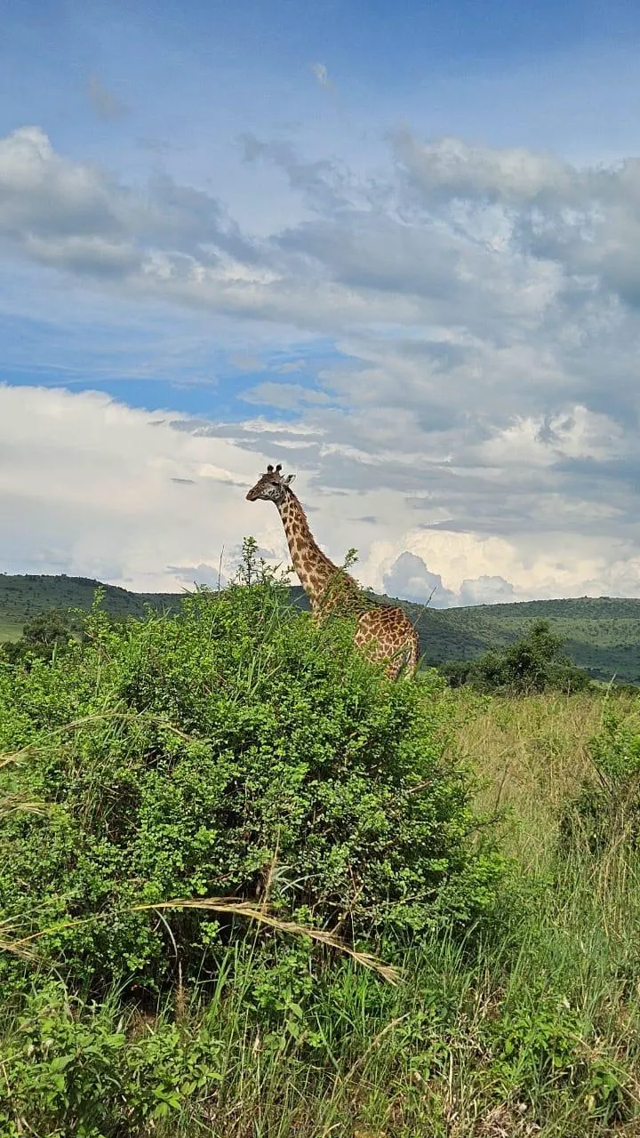 Maasai Mara Experience