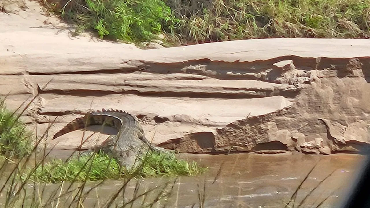 Maasai Mara Experience