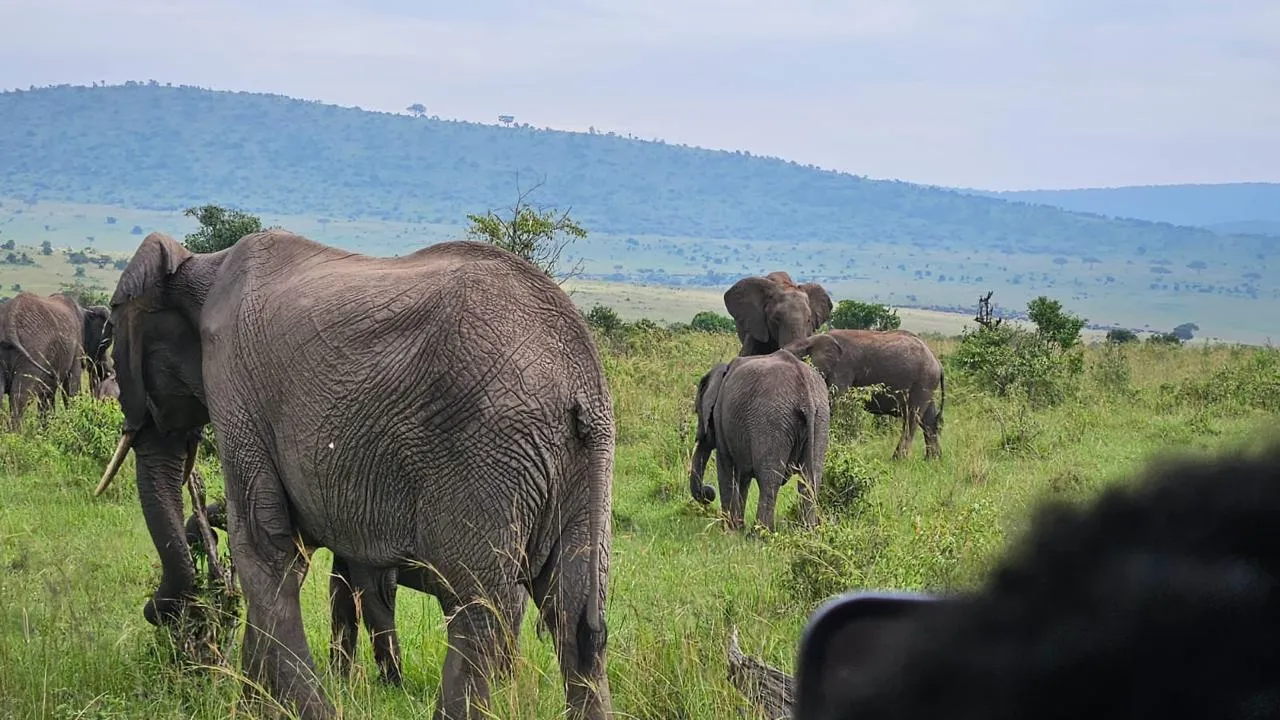 Maasai Mara Experience