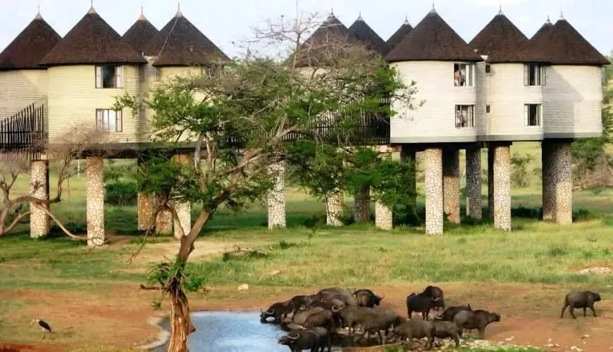 Untamed Majesty of Tsavo National Park