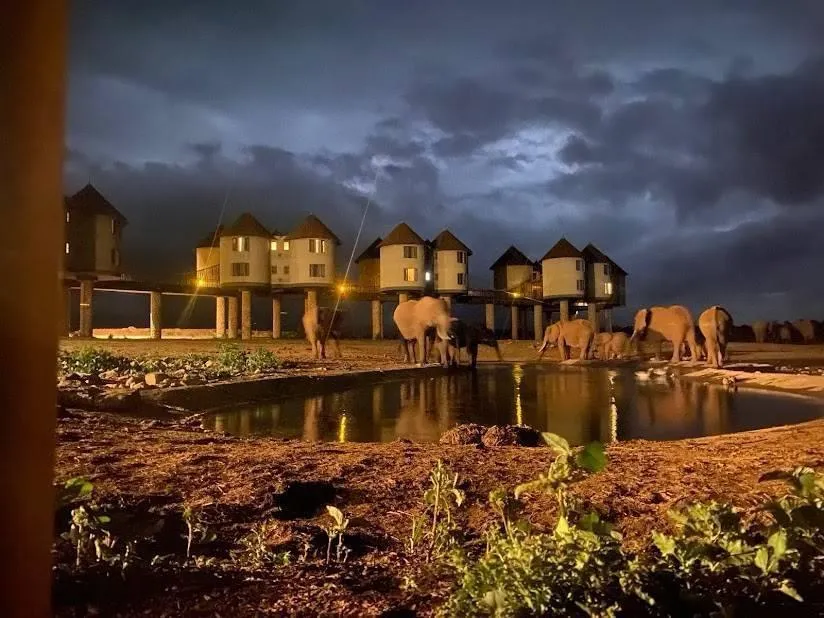 Untamed Majesty of Tsavo National Park