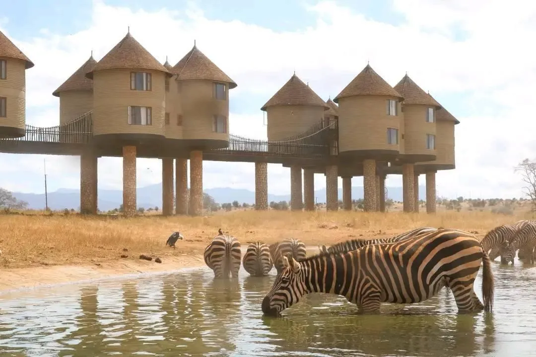 Untamed Majesty of Tsavo National Park