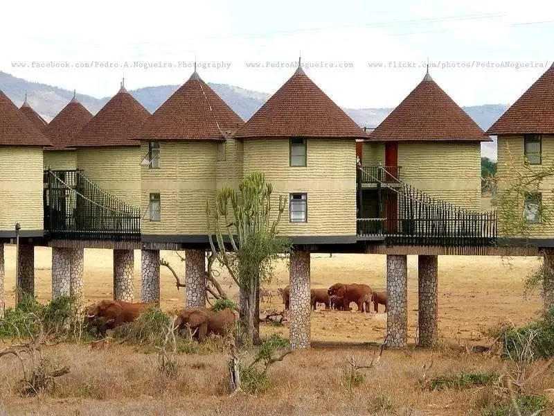 Untamed Majesty of Tsavo National Park