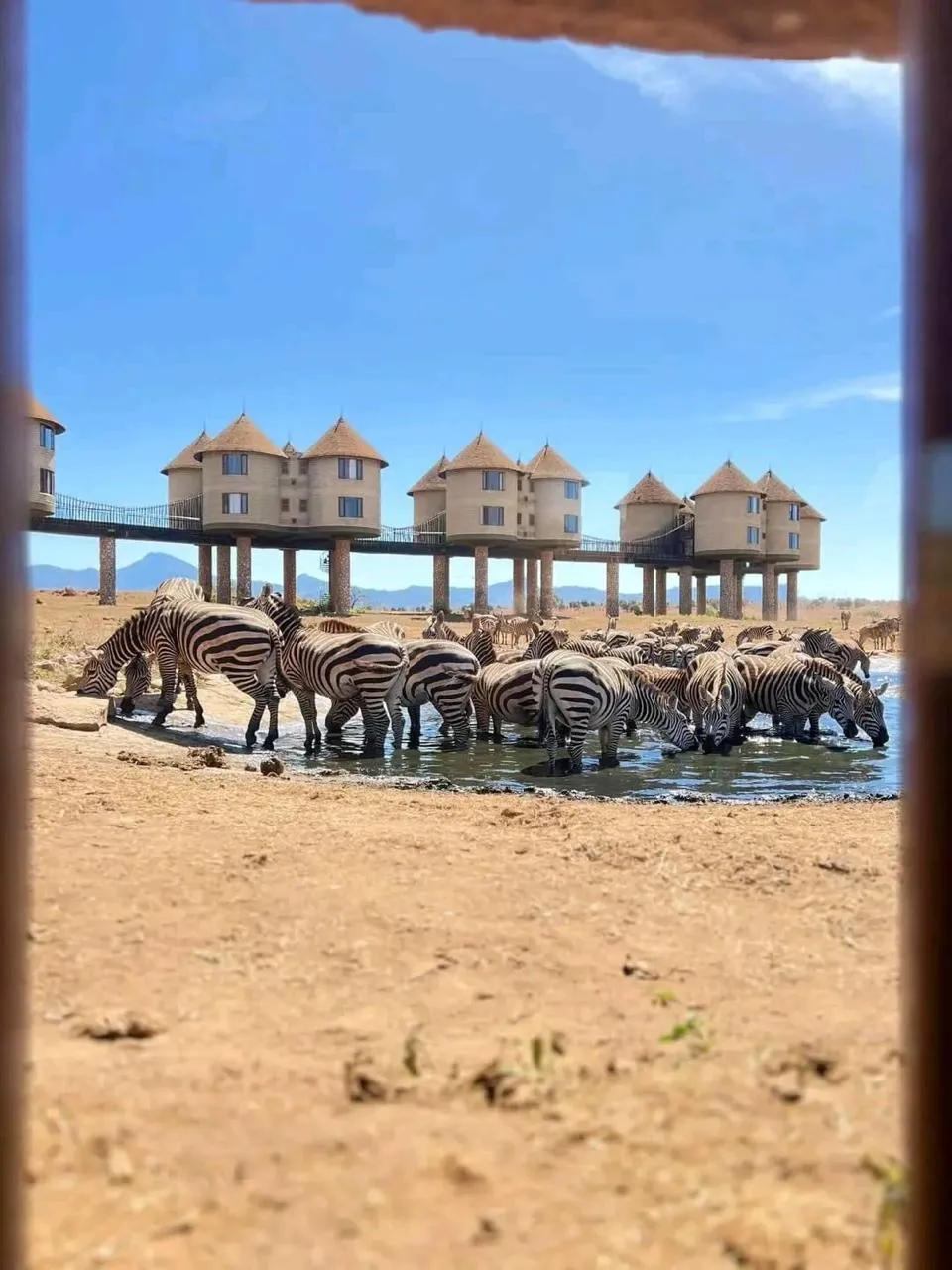 Untamed Majesty of Tsavo National Park