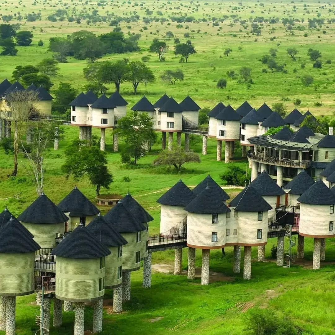 Untamed Majesty of Tsavo National Park