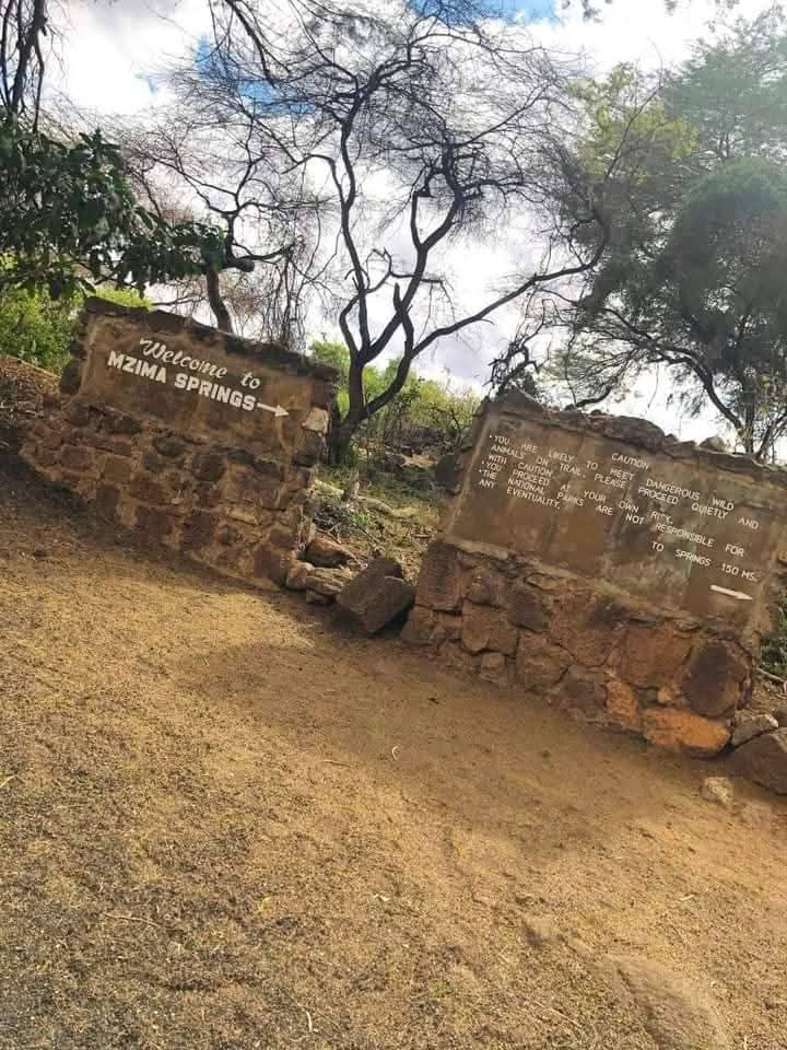 Untamed majesty of Tsavo National park