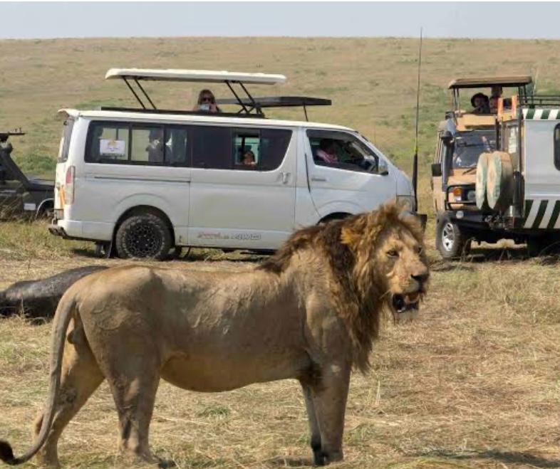 Maasai Mara Experience