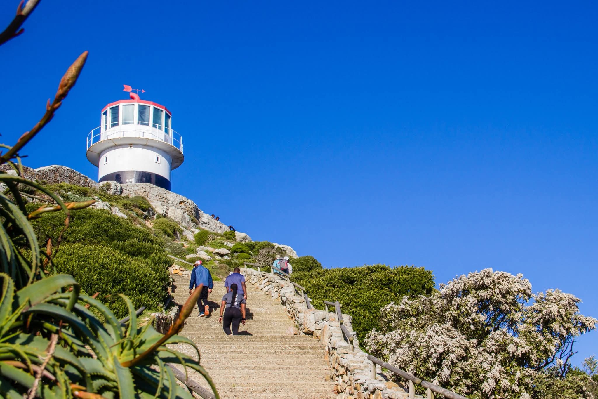 view of cape point 