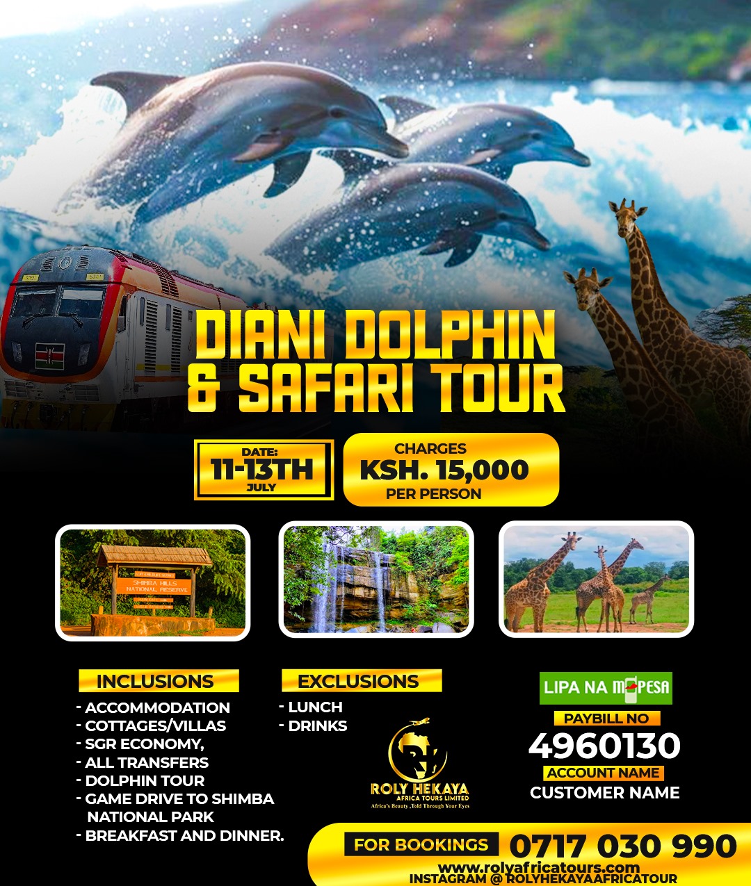 Diani Dolphin and game drive tour 