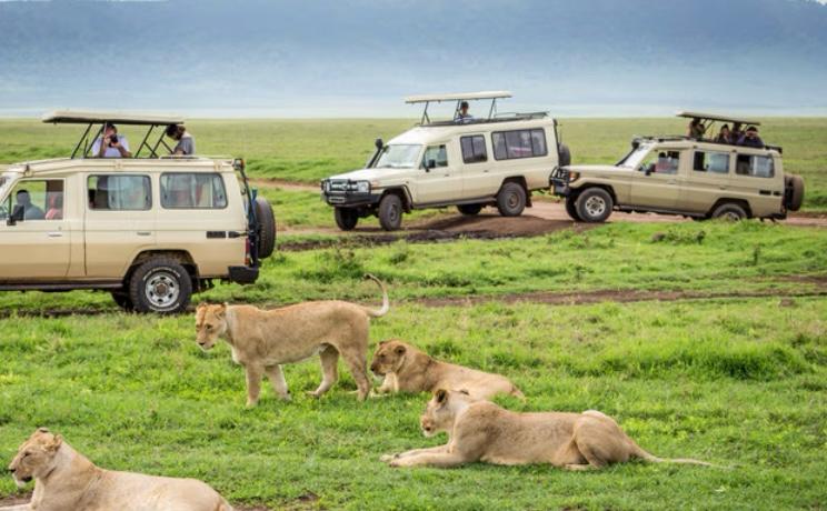 MAASAI MARA  3 DAYS  2 NIGHTS GROUP JOINIG SAFARIS...