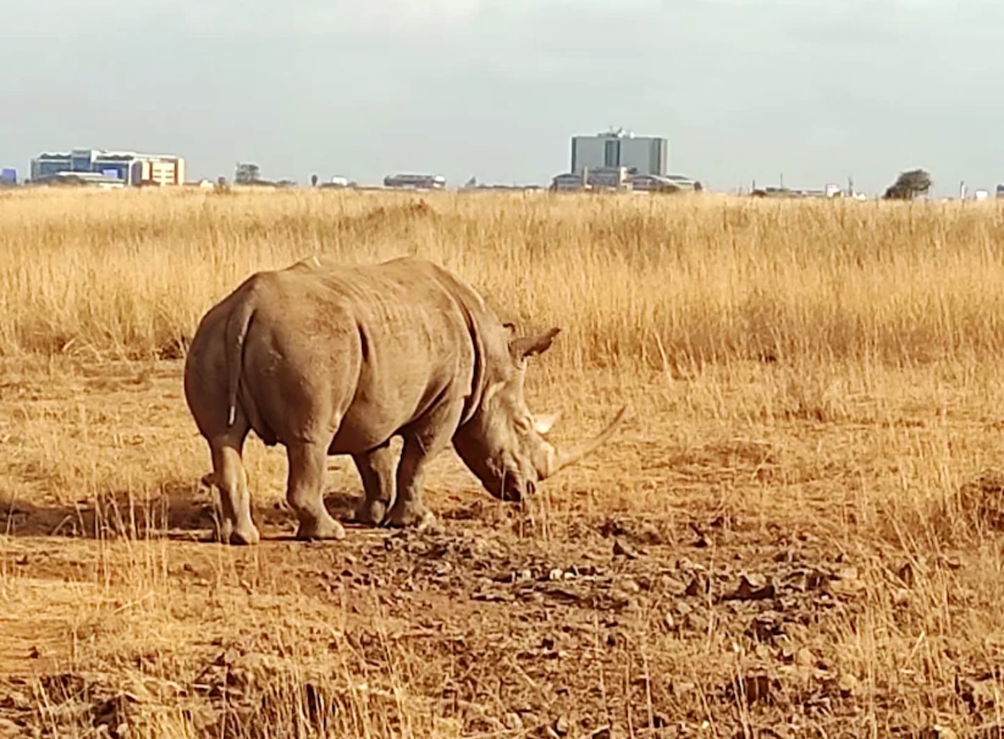 NAIROBI CITY TOUR